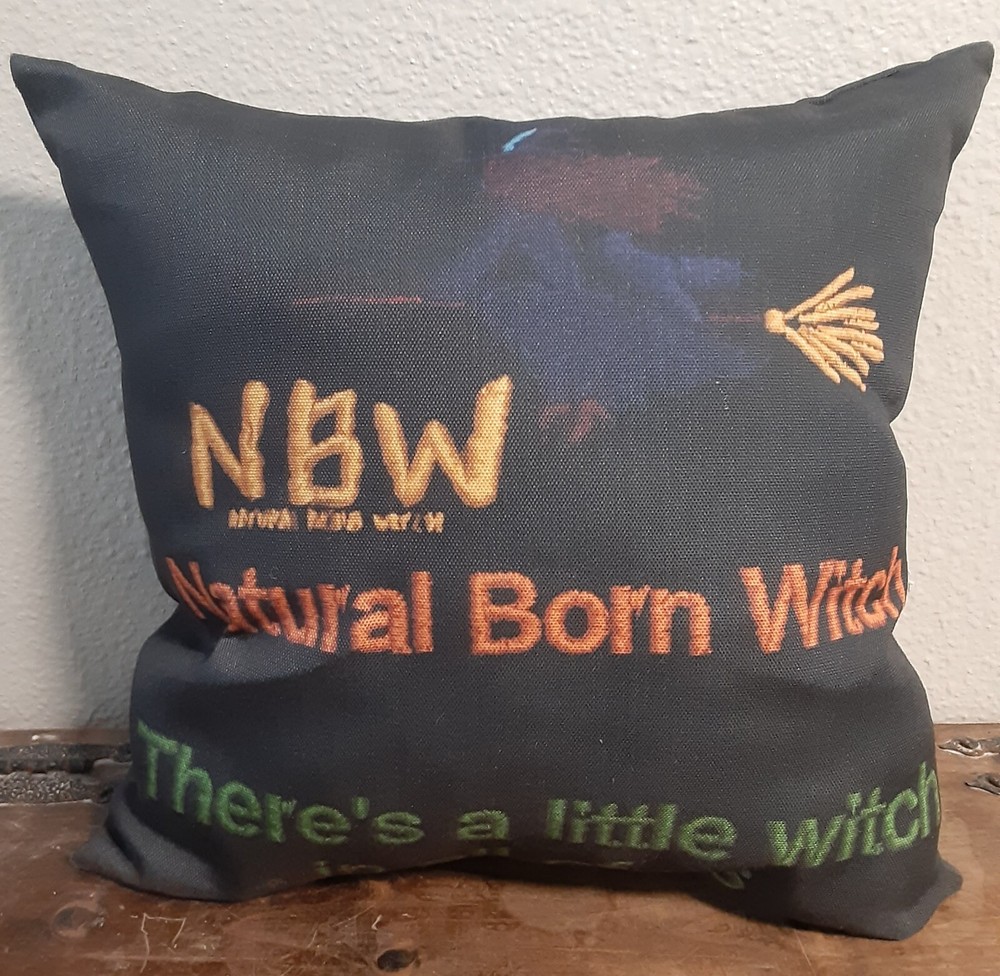 Haunted Witchcraft Magick Pillow