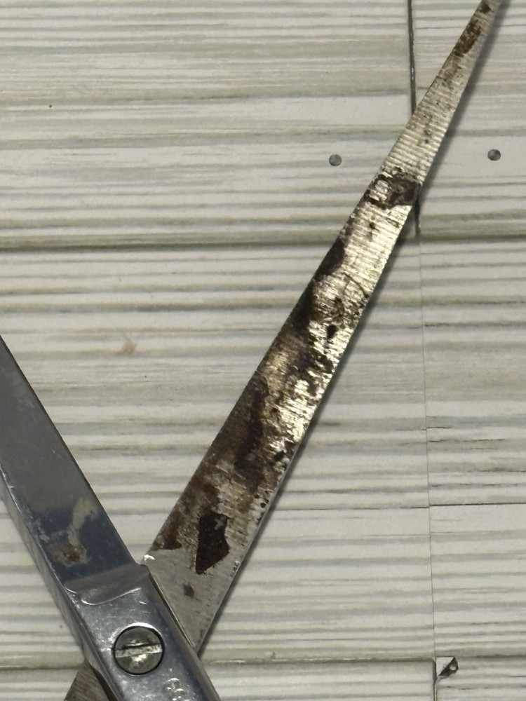 Vintage Compton USA Scissors Shears 9" Long