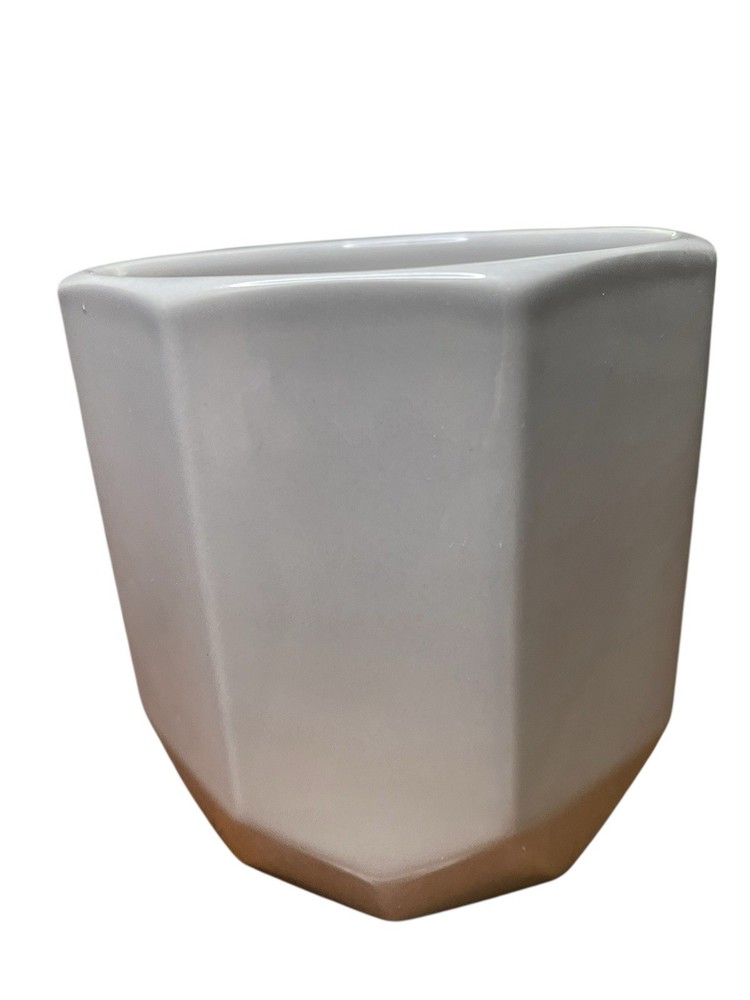 Geometric Phalarnopsis Planter Bright Light Orchid Garden Ceramic