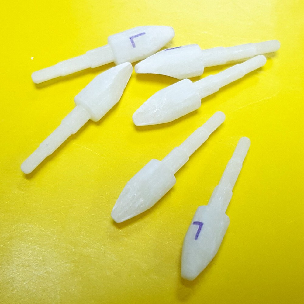 Dental Fiber Post Enlarged Head Lower Cuspid Anatomic 12 pcs Large Ready for use