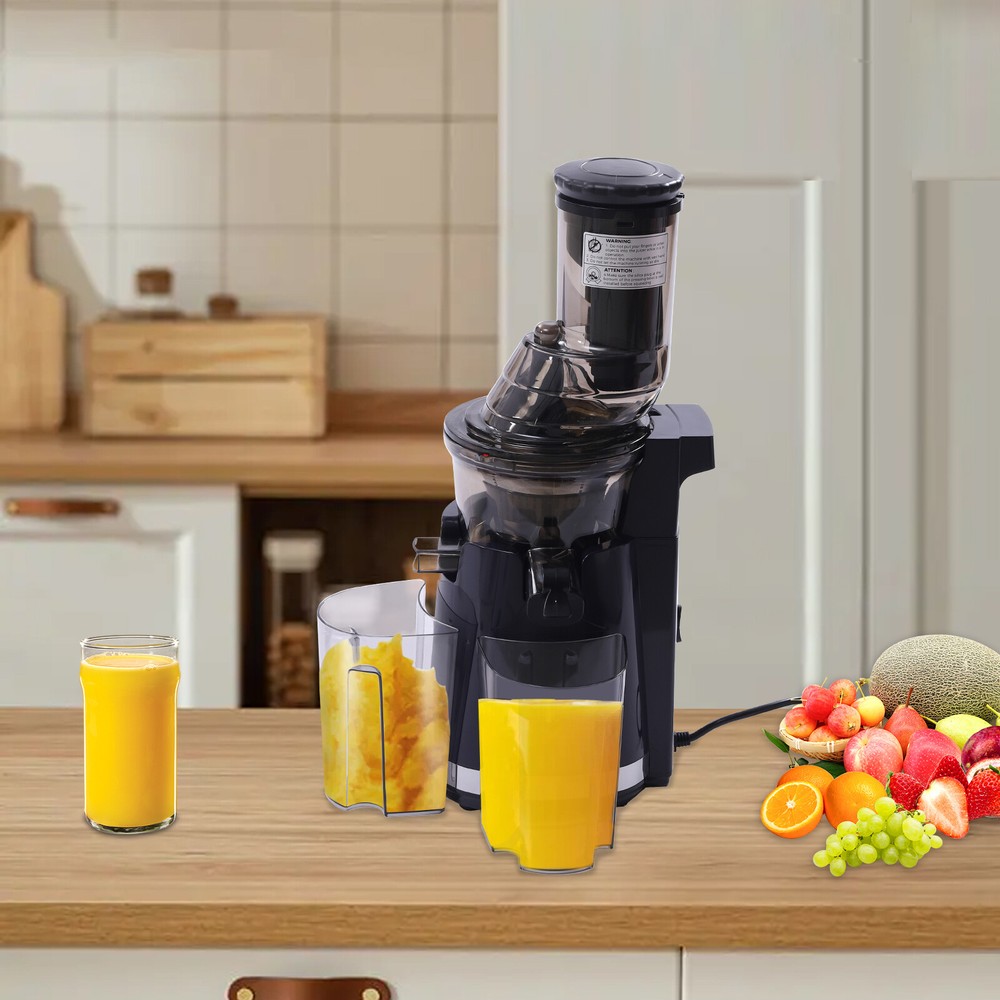 Kitchen Juicer Masticating Juicer Machine Squeezing Fruit Extractor Juicer 250W