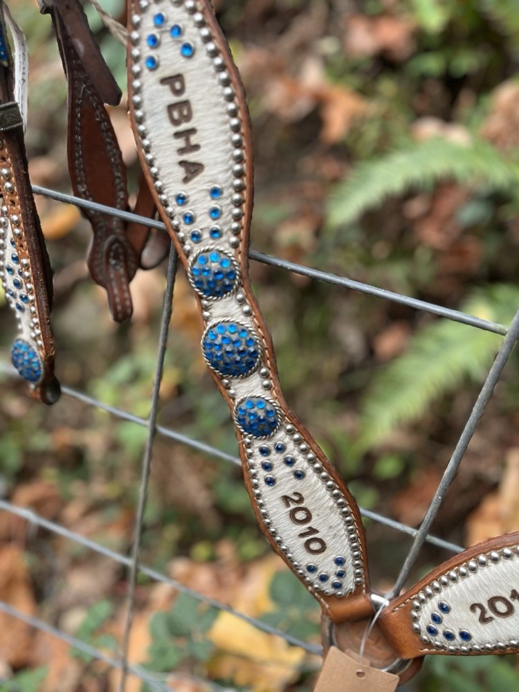 Luan's Leathers Bling Western Set