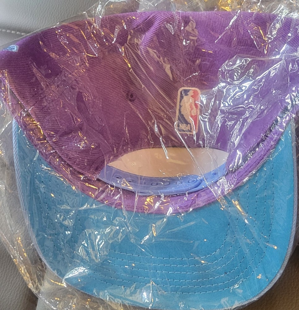 Charlotte Hornets SnapBack Hat
