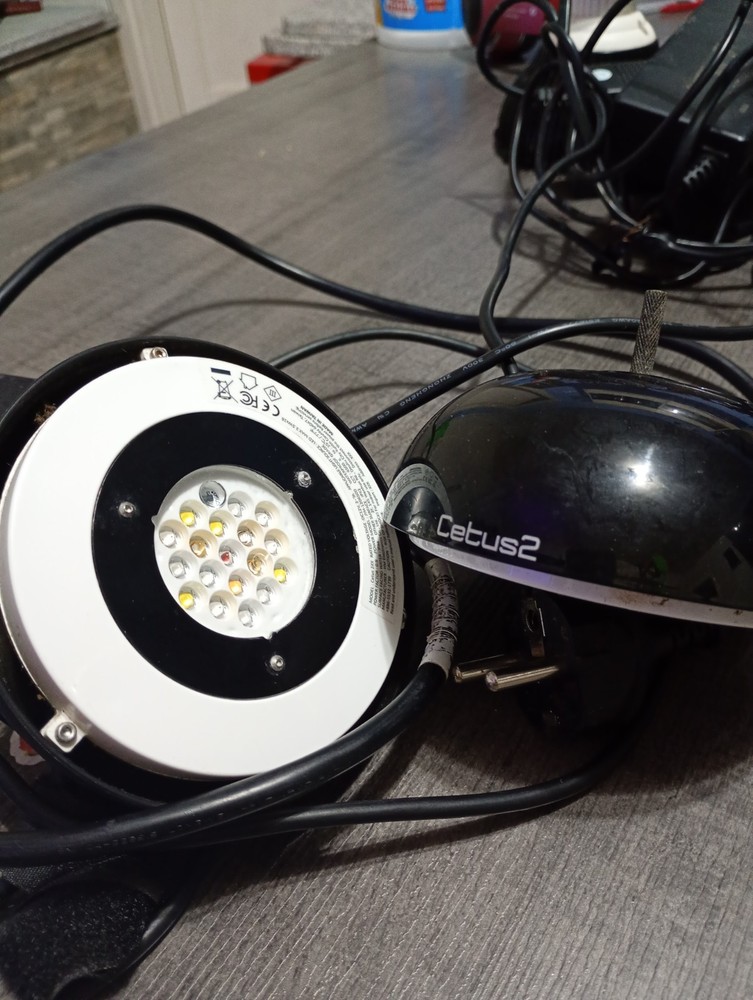 cetus 2 lamp