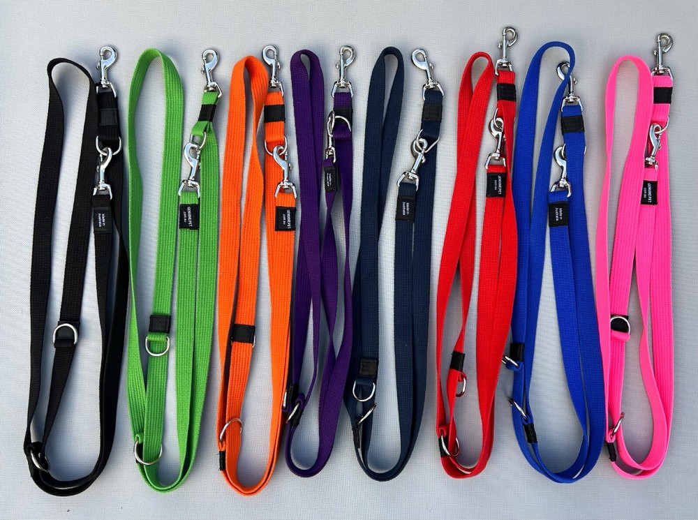 Multi-Function Dog Lead Training Leash Collar Webbing