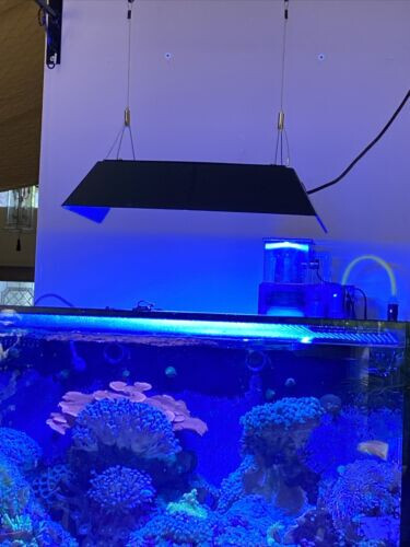 Ecotech Radion XR30 Shade