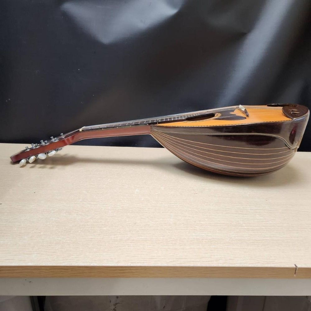 Suzuki violin mandolin M-218 with case