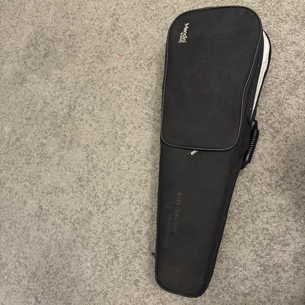 Violin In Case Instrument Mendini