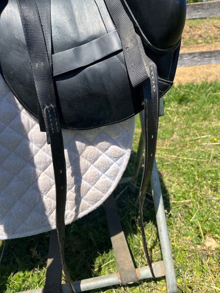 Albion Platinum 17.5 in adjustable tree