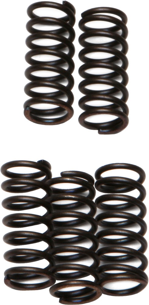 EBC CSK Clutch Spring Kit CSK42