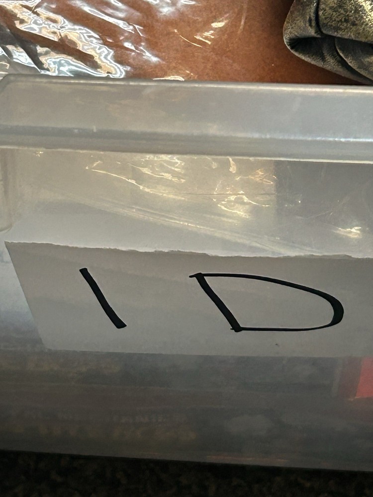 Boa Saddle bag Small - Brand New