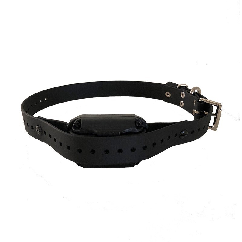 E-Collar Technologies Hide-A-Strap Collar for Large Receiver