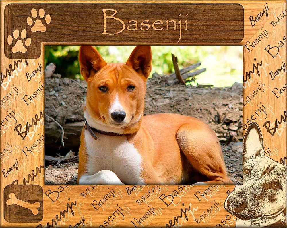 Basenji Laser Engraved Wood Picture Frame (8 x 10)