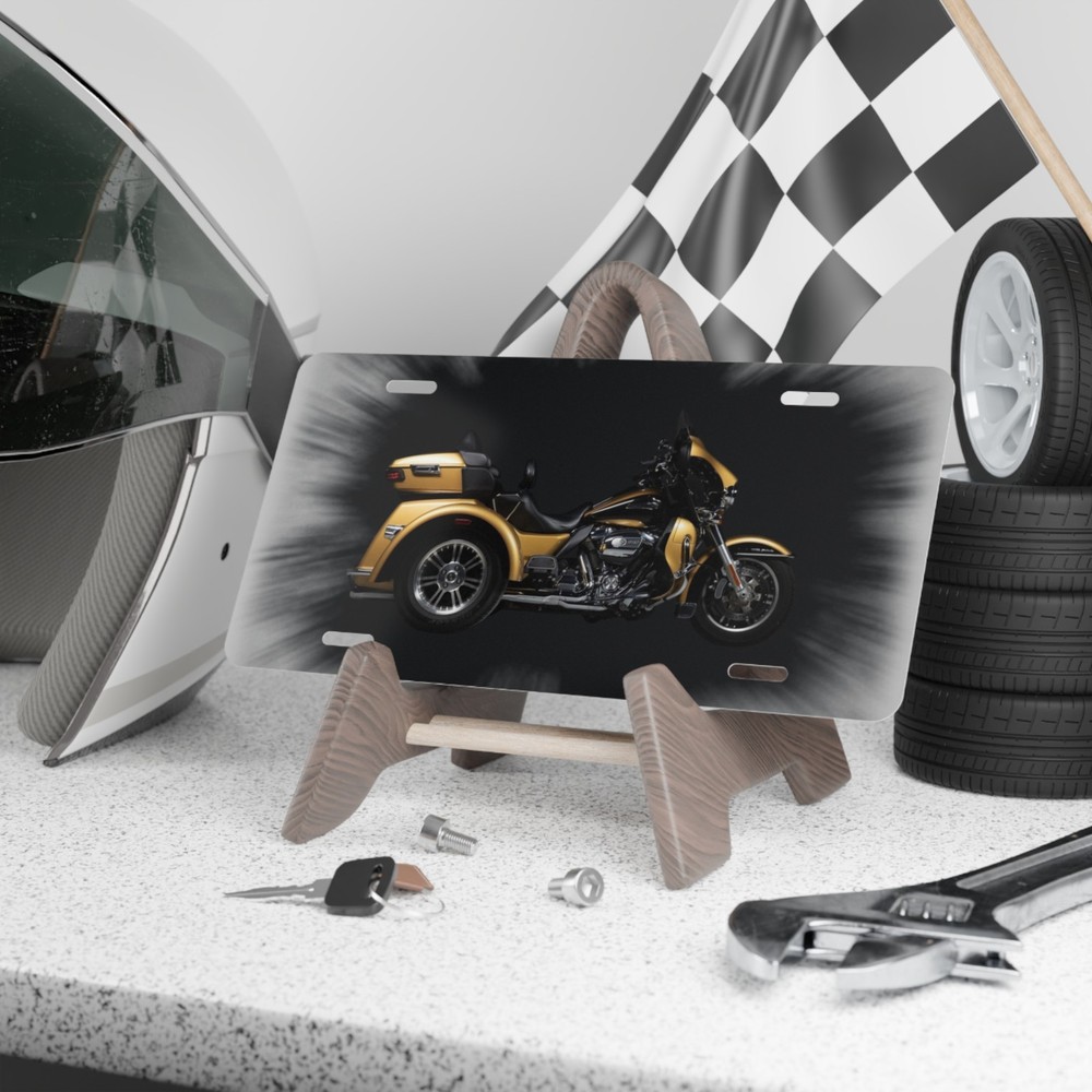 2017 Harley Davidson Tri Glide License Plate