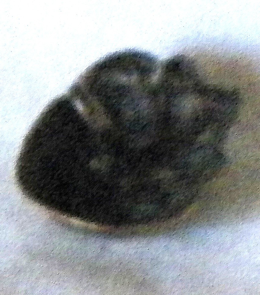 Bb IMPISH Face Antique Brass BUTTON realistic small