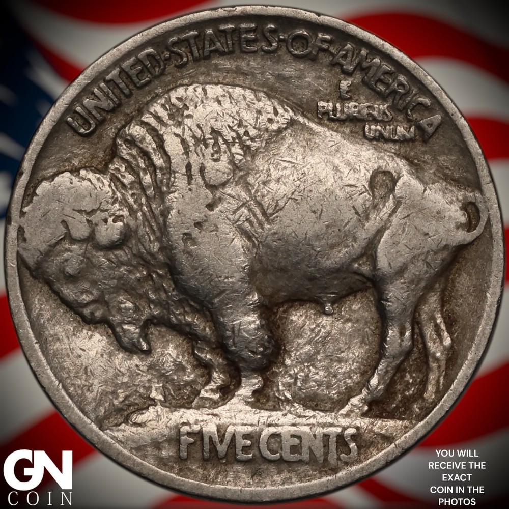 1913 P TYPE 1 Buffalo Nickel A1487