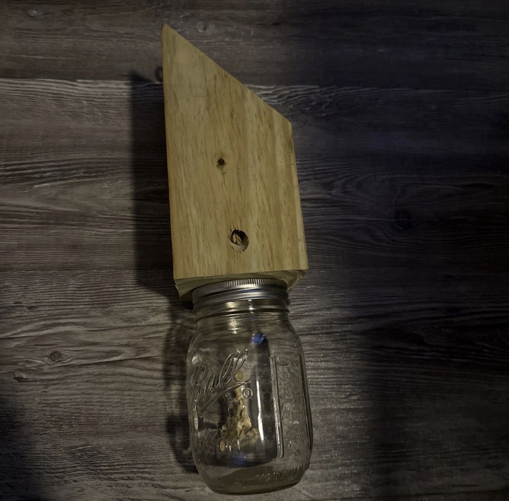 Carpenter Bee traps HandMade