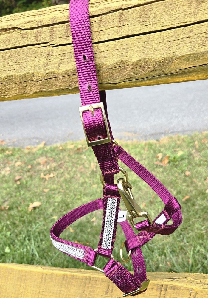 Miniature Horse Nylon Bling Halter