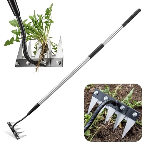 Iron Weeding Rake with Long Handle - Upgraded Weed Puller Tool, Heavy 5 Teeth