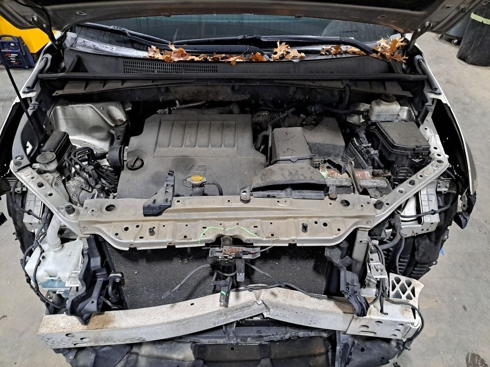 2014 Highlander Jack Sku#4284276