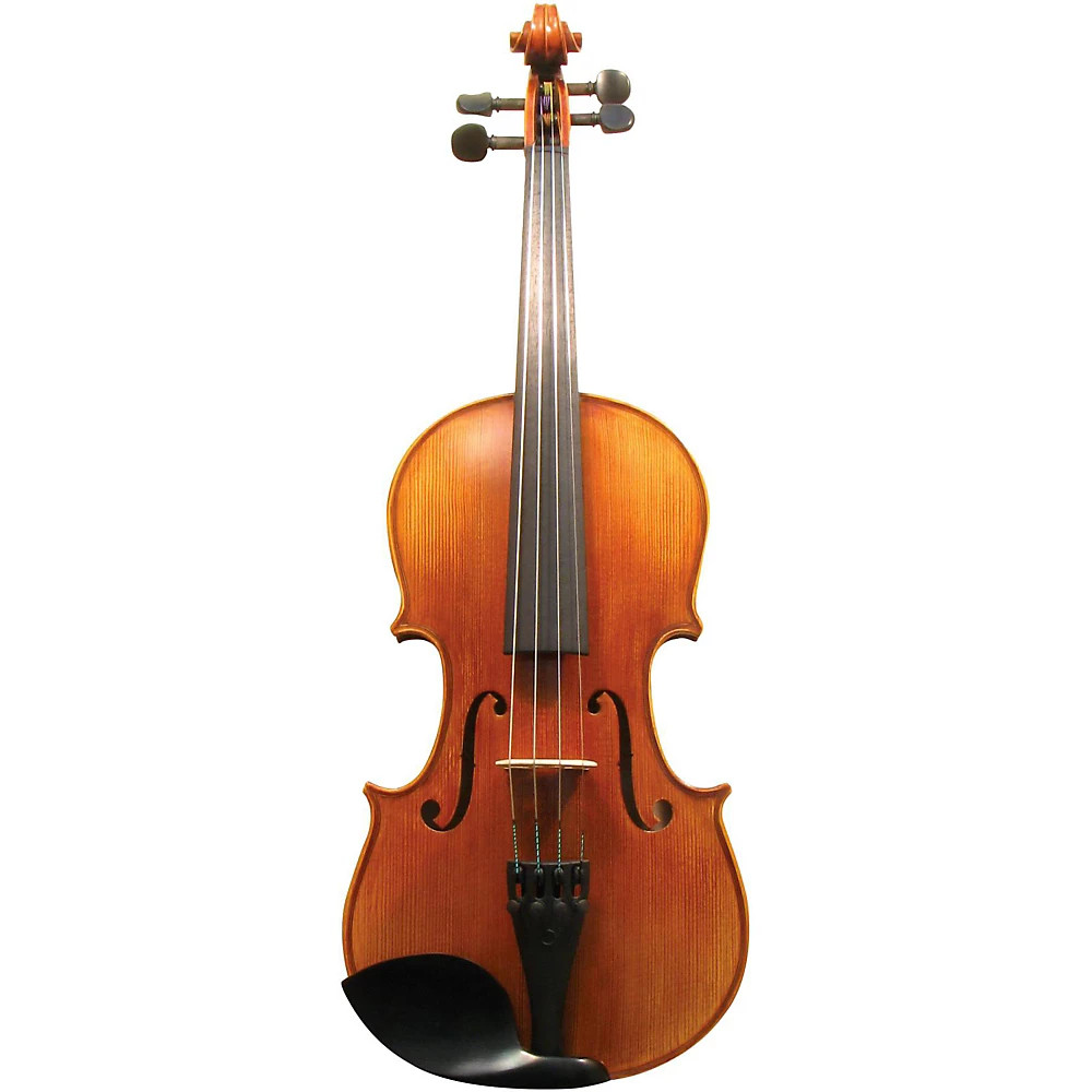Maple Leaf Strings MLS 140 Apprentice Collection Viola Outfit 15.5 in.