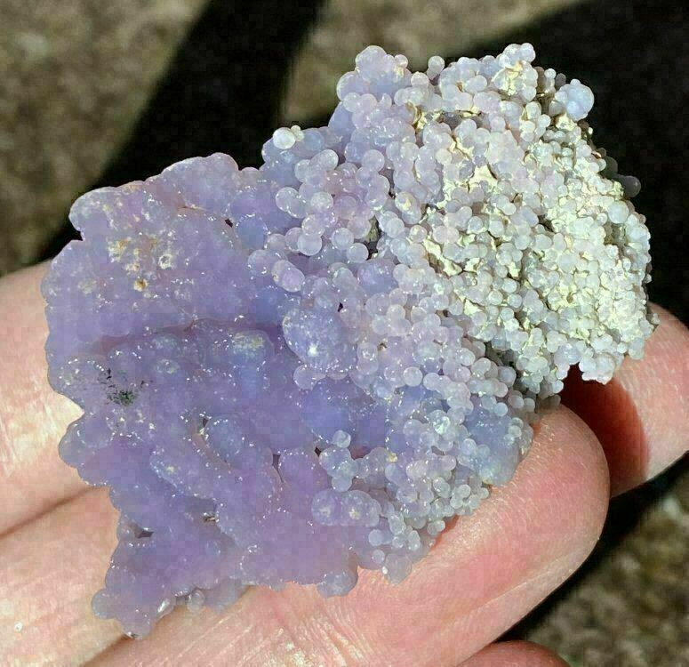 ~Weird~ Botryoidal Grape Chalcedony Specimen - AKA Mankarra Agate - C9