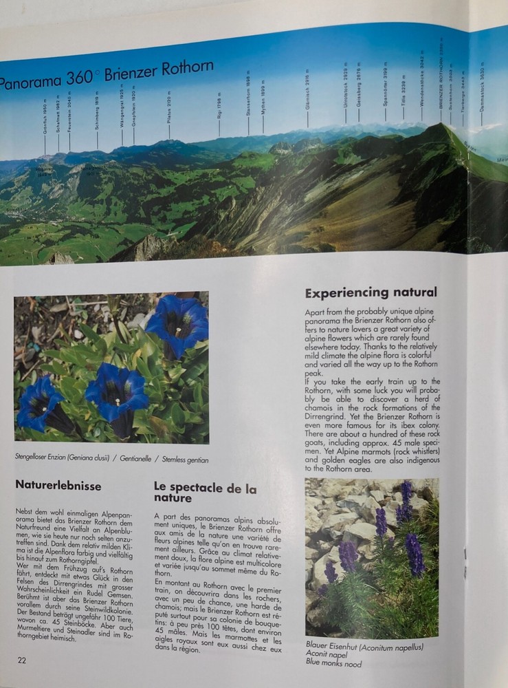 BRIENZ ROTHORN BAHN TRAIN TRANSPORTATION