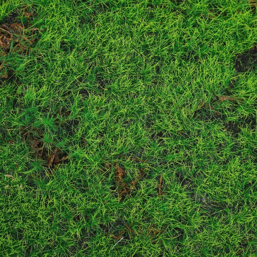 Faux Grass Decor Fake Mat Simulation Artificial Moss for Planters
