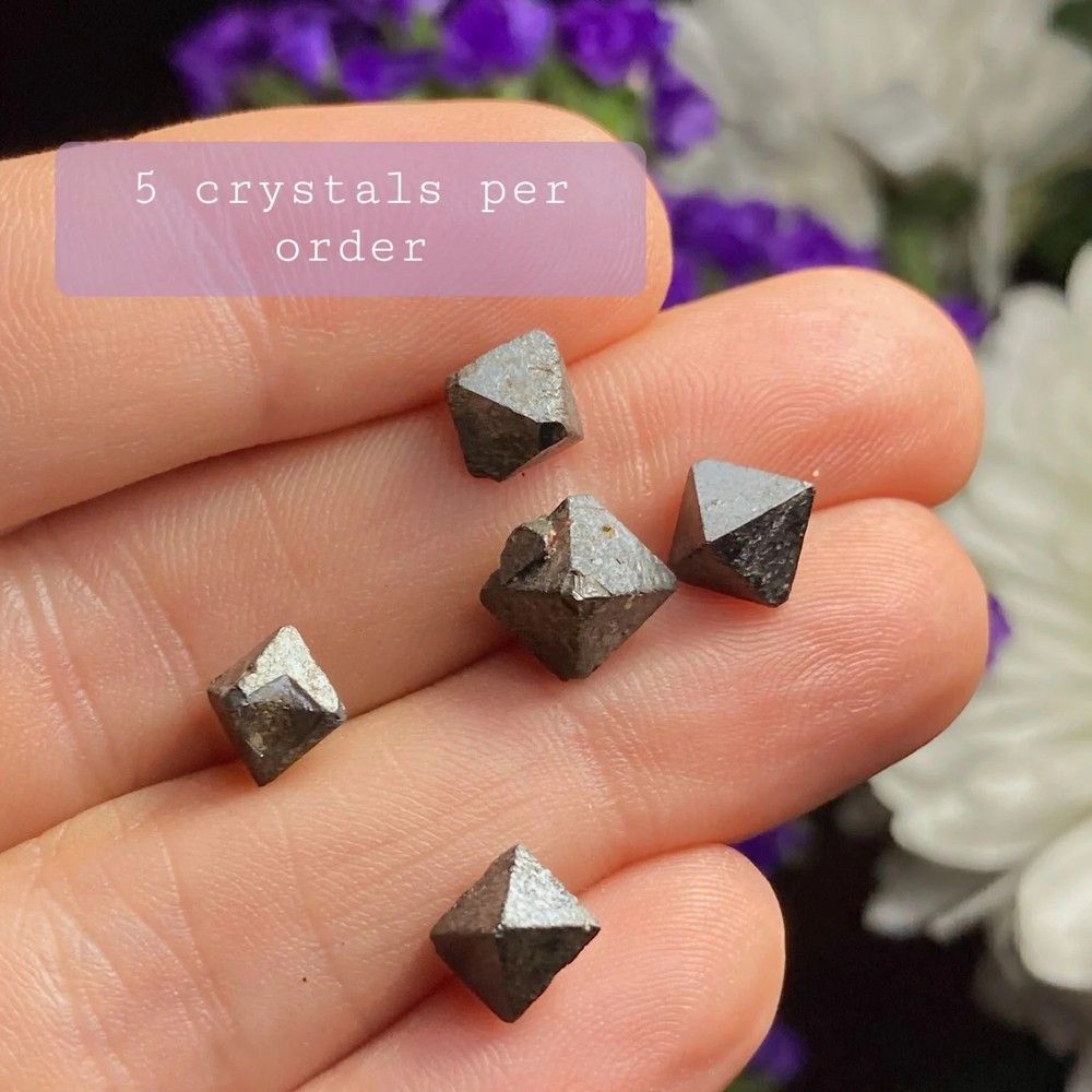 Magnetite Specimens (Set of 5)