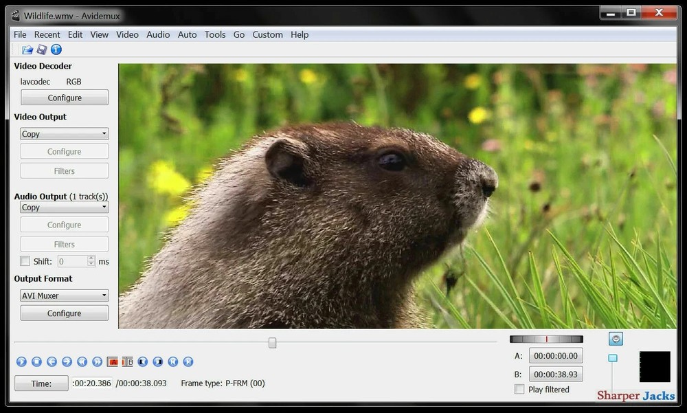 Avidemux Video / Audio Editor & Publishing Studio 2026 for Windows & Mac OS