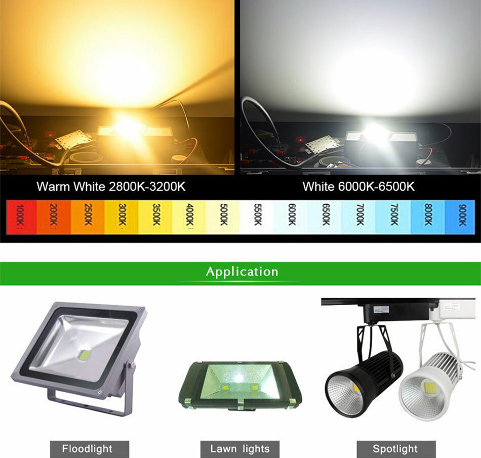LED Driver + COB Chip 100W 50W 30W 20W 10W Power Supply Transformer Bulb Lights