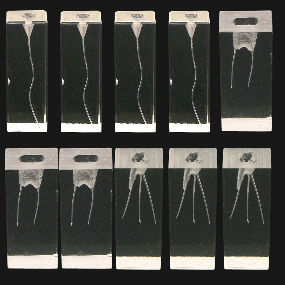 10PCS Dental Endodontic Root Canal Practice Models Endo Training Block Clear