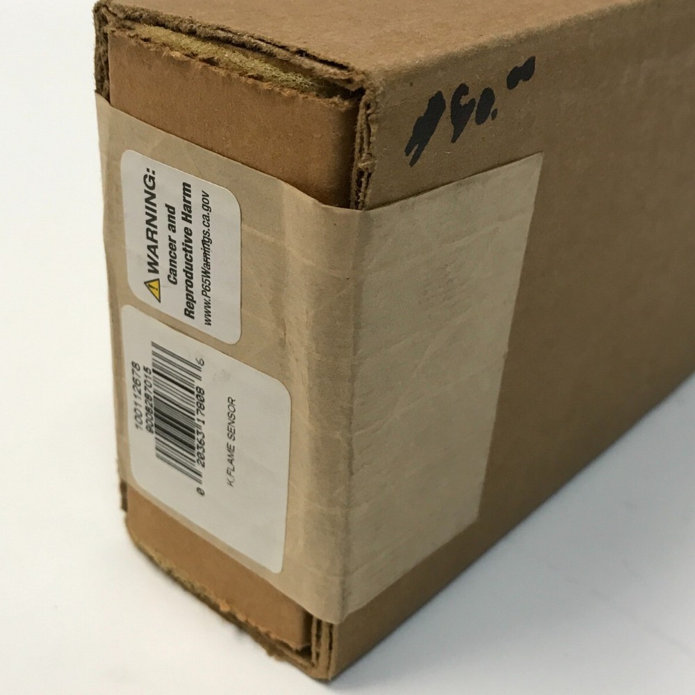 A.O. Smith Water Heater Flame Sensor #100112678 NIB!