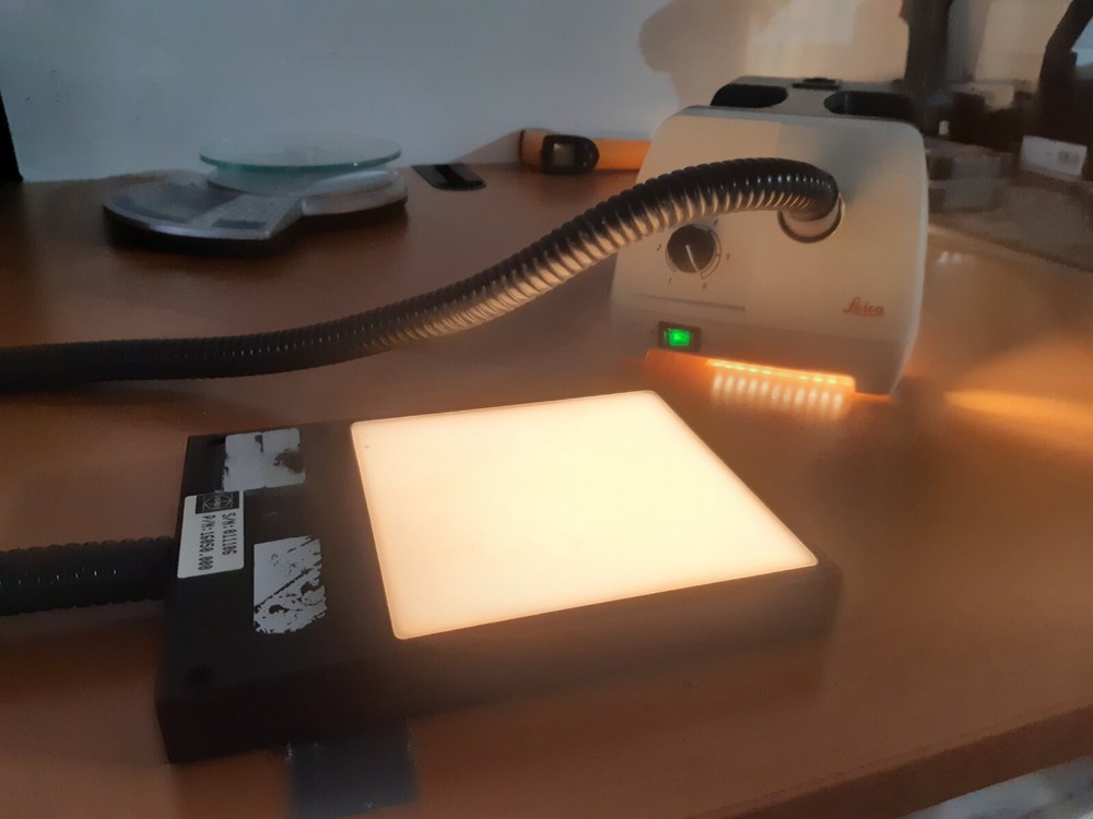 LEICA CLS 100 X WITH TRANSILLUMINATOR
