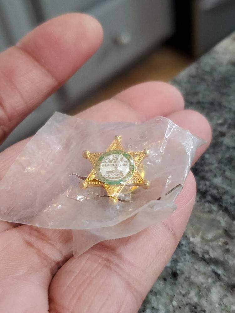 Tennessee Sheriff Pin