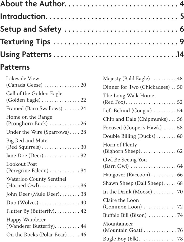 Pyrography Patterns 30 Wildlife Woodburning Designs, Basic Techniques, Texturing