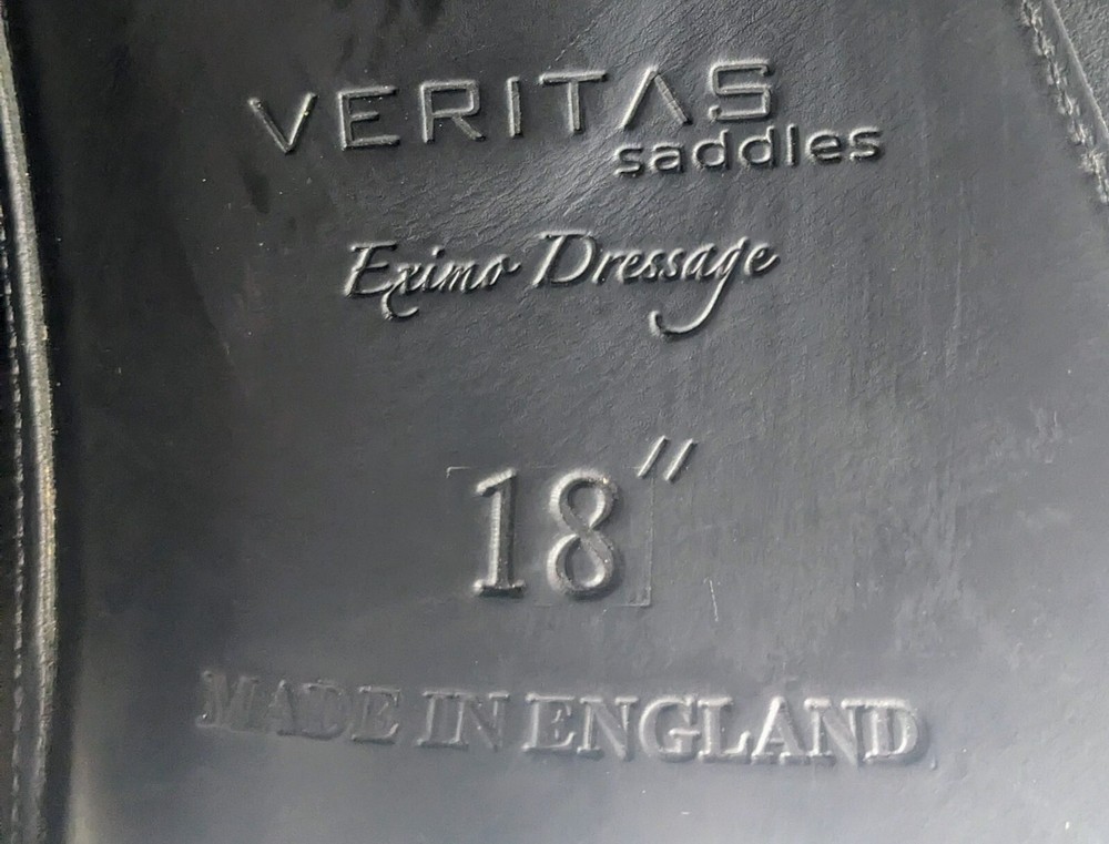 18" Veritas Eximo Dressage (2017) *Wool Flocked*