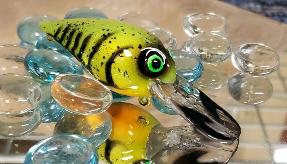 custom painted Wiggle wart crankbait (CRAW)