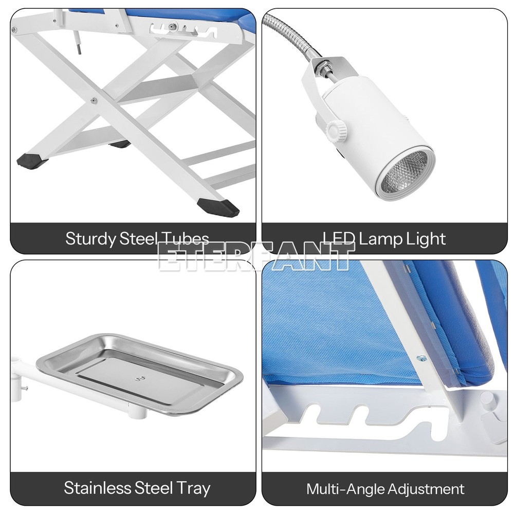 Portable Dental Unit System w/Air Compressor/Adjustable Folding Chair LED Light