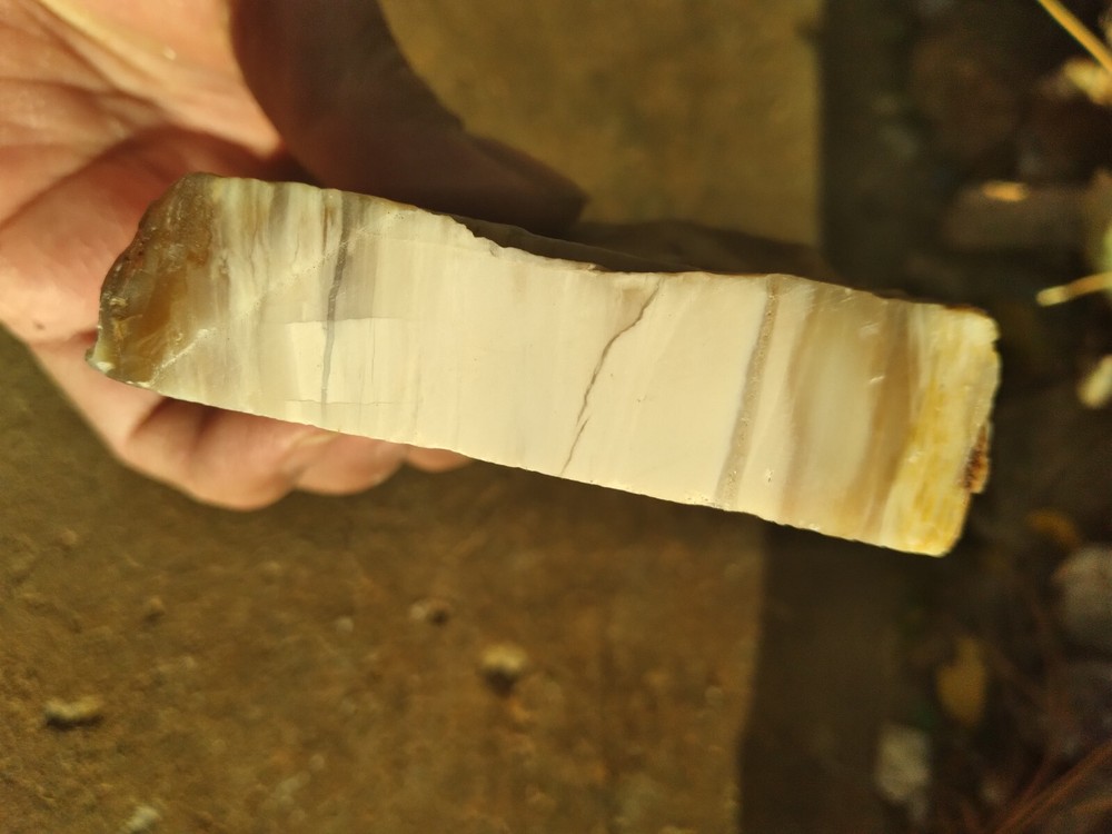 Opalized Wood Slab