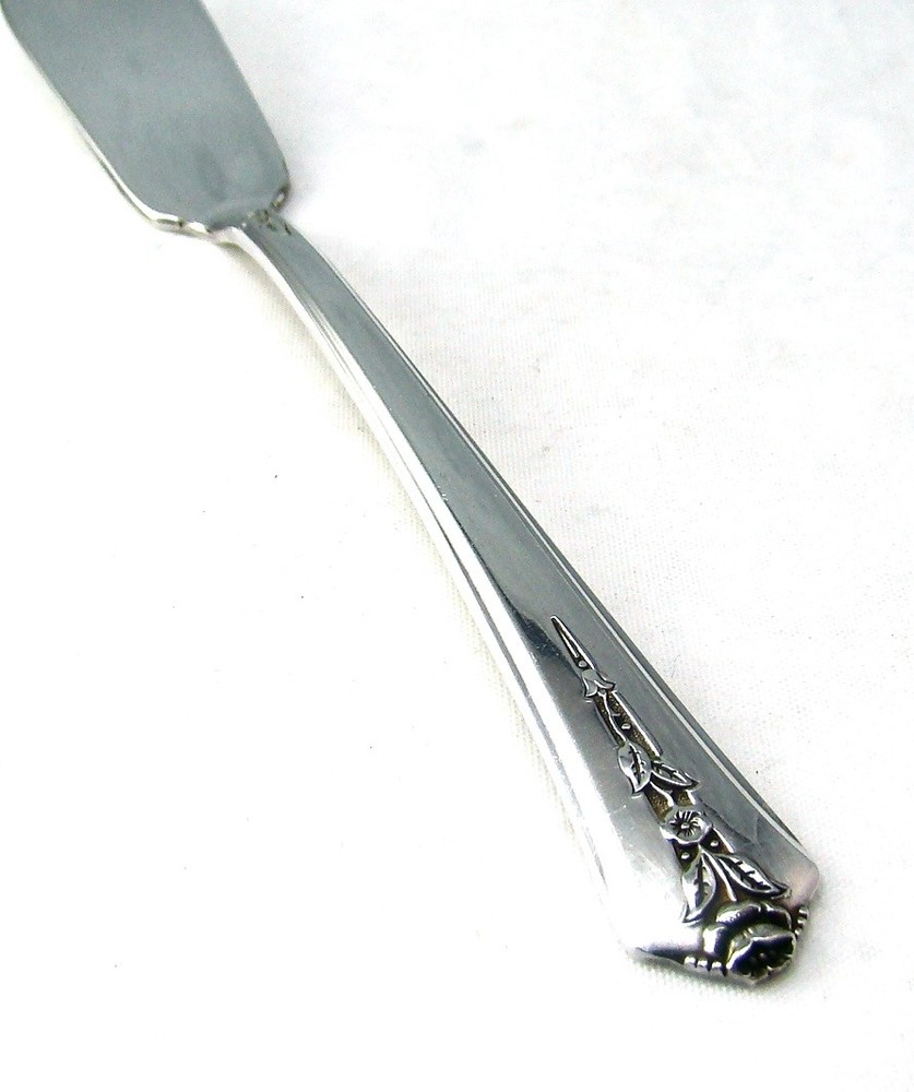 International Silverplate SPRING GARDEN Sugar Spoon & Flat Master Butter