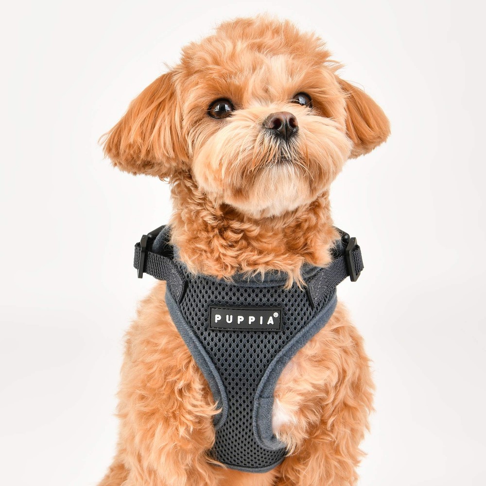 Authentic RiteFit Harness with Adjustable Neck Sky Blue Large