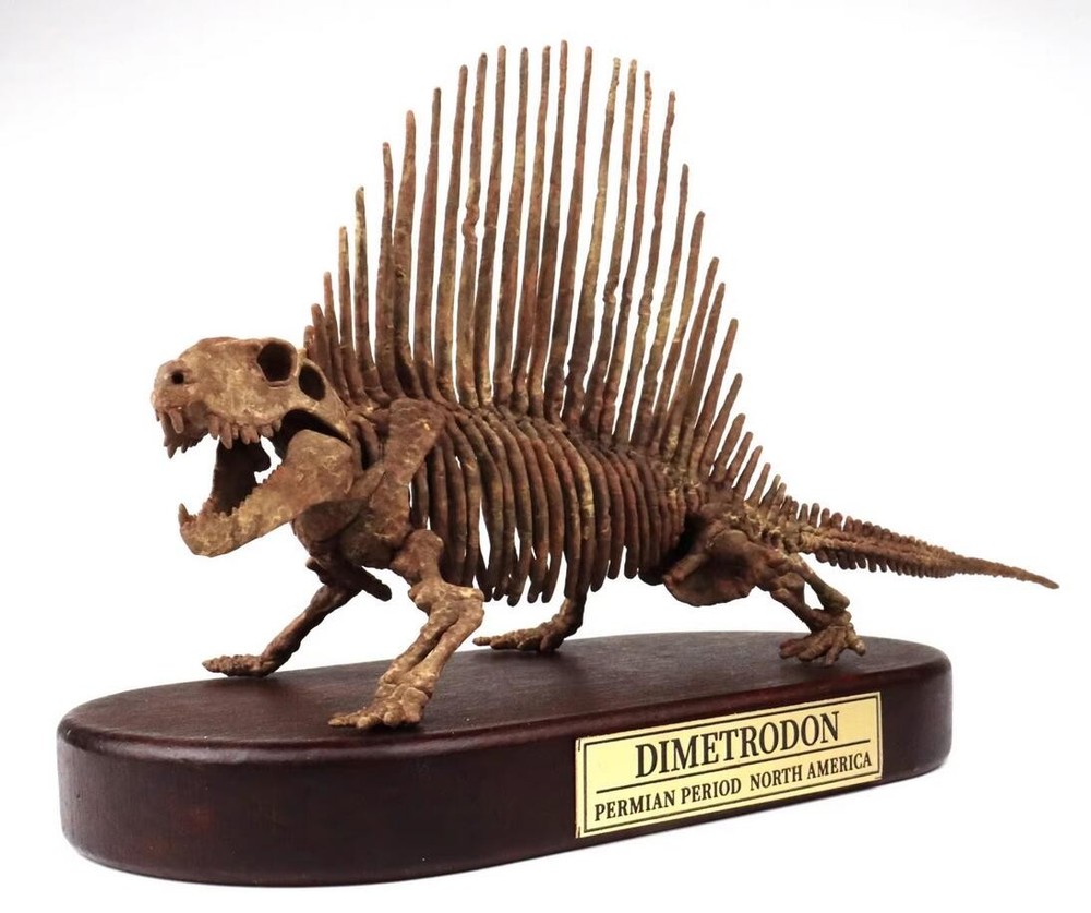 Dimetrodon Skeleton Dinosaur Statue Painted Model Display Length 9.8in
