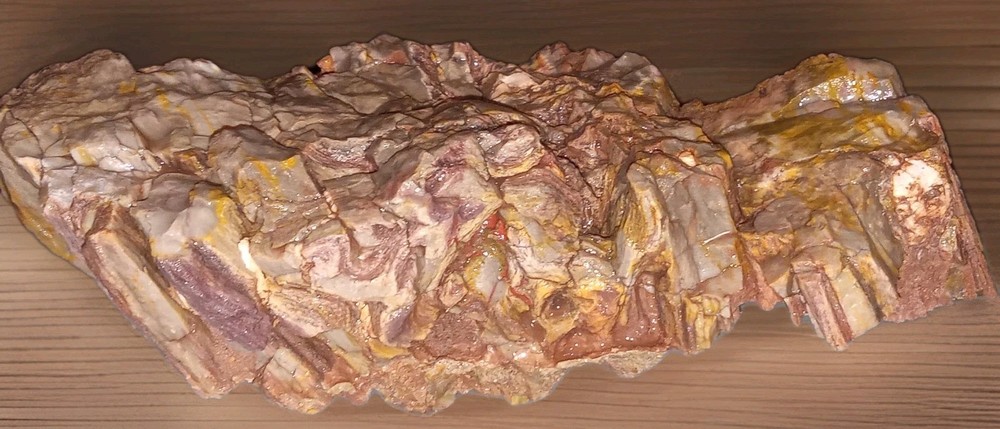 Petrified Rainbow Wood Rough AZ 2 lbs+
