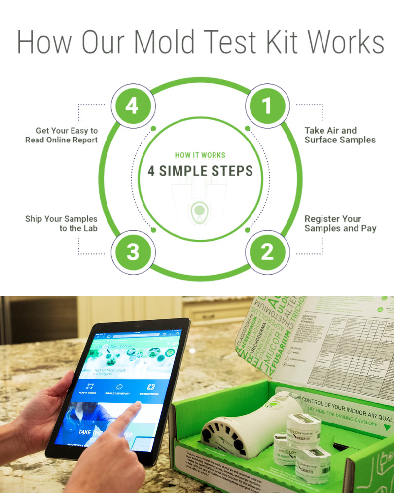 5-Room Mold Test Kit, Air & Surface Samples