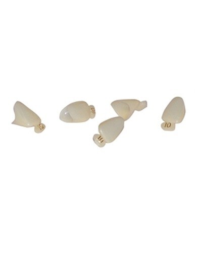 MARK3 #40 Polycarbonate Crown Form, 5/Bx. 1st Bicuspid. Universal shade