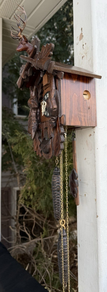 Vintage Regula German Hunter Cuckoo Wall Clock RUNS GREAT - SEE VIDEO - CLEAN