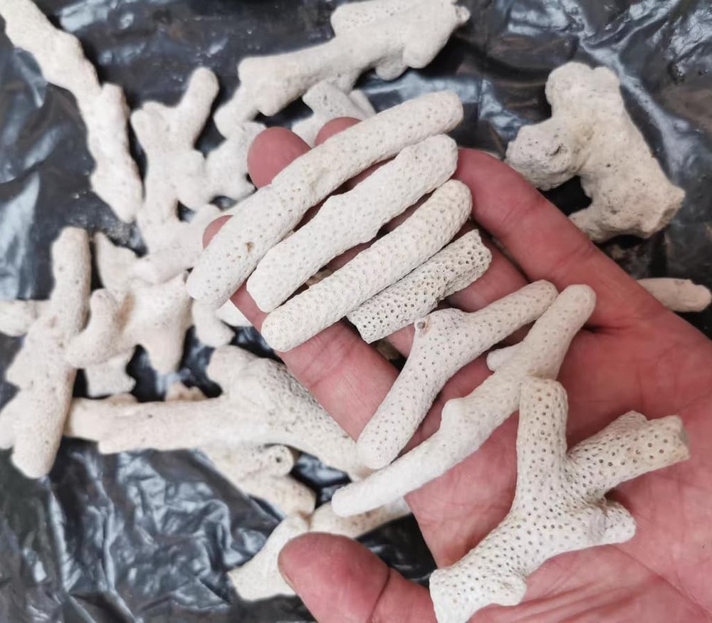 Carefully Selected Crushed Coral for Freshwater Aquarium white