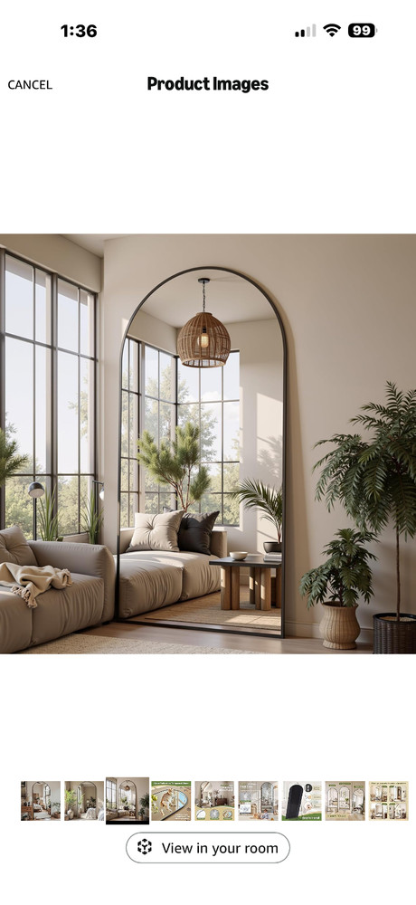 Black arched full length mirror
