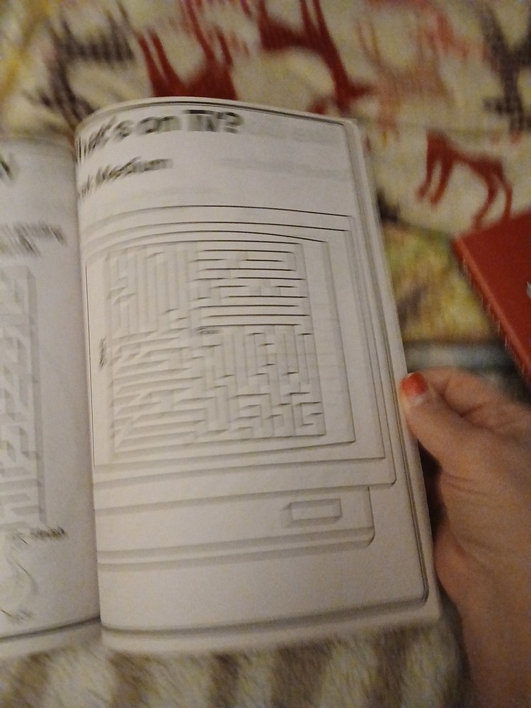 MAZE CRAZE Activity KIDS' Book